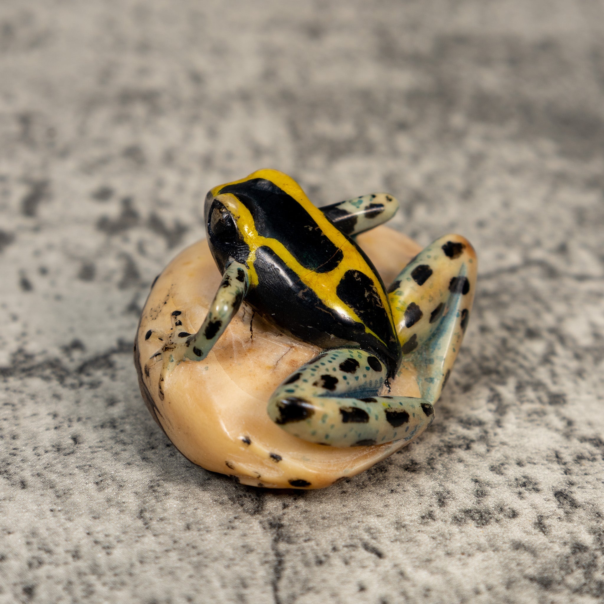 Vintage Gold Black And Blue Poison Dart Frog Tagua Carving