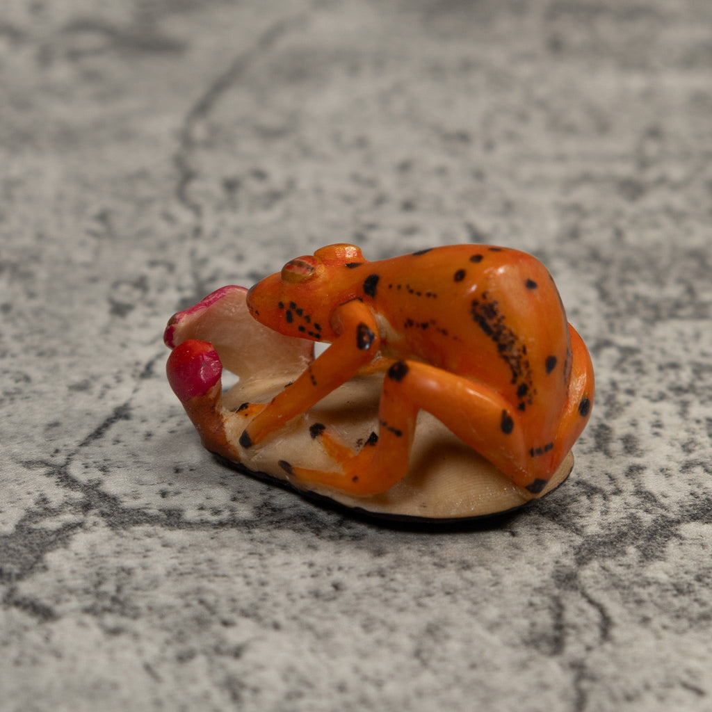 Orange And Black Poison Dart Frog Tagua Carving
