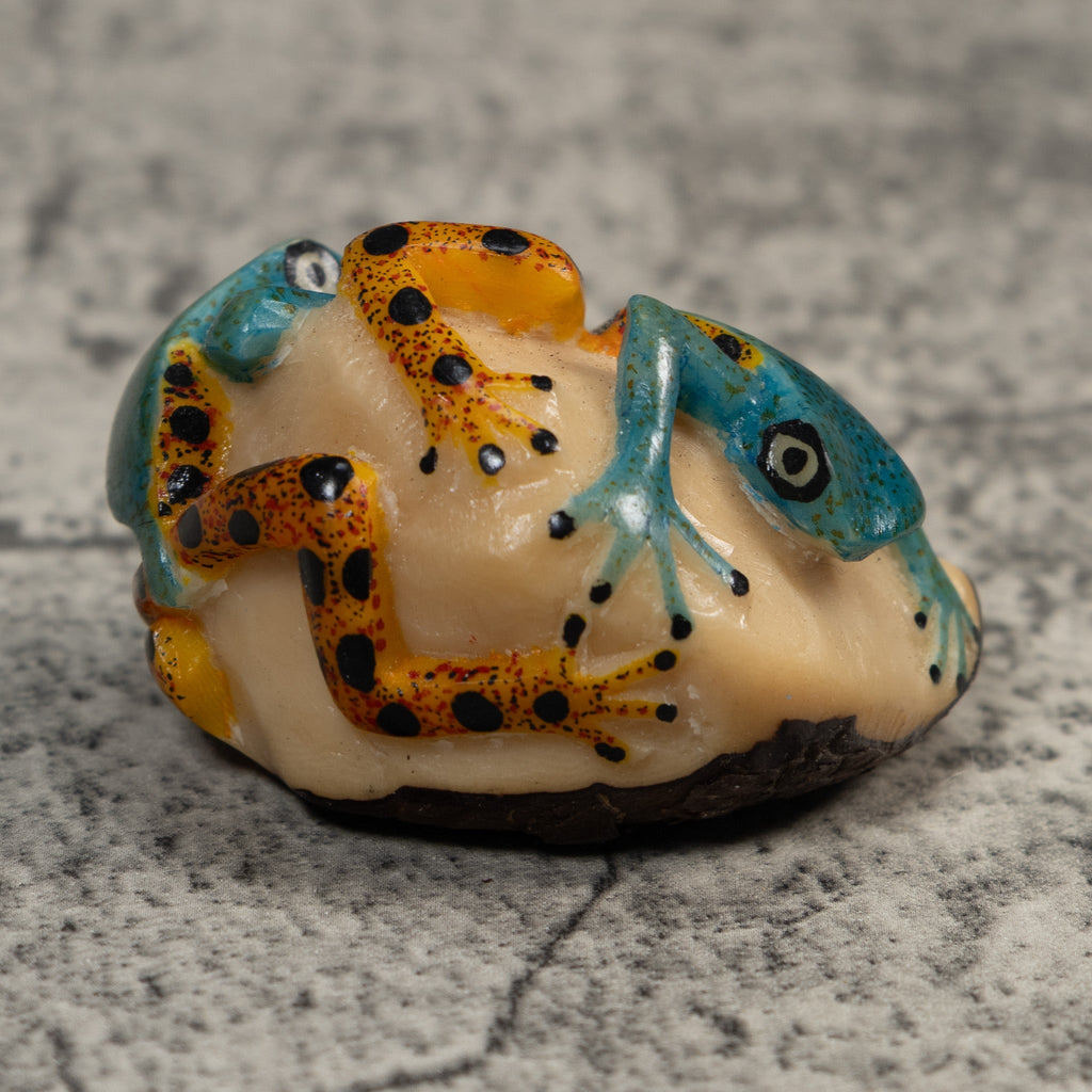 Double Blue Gold And Black Poison Dart Frog Tagua Carving