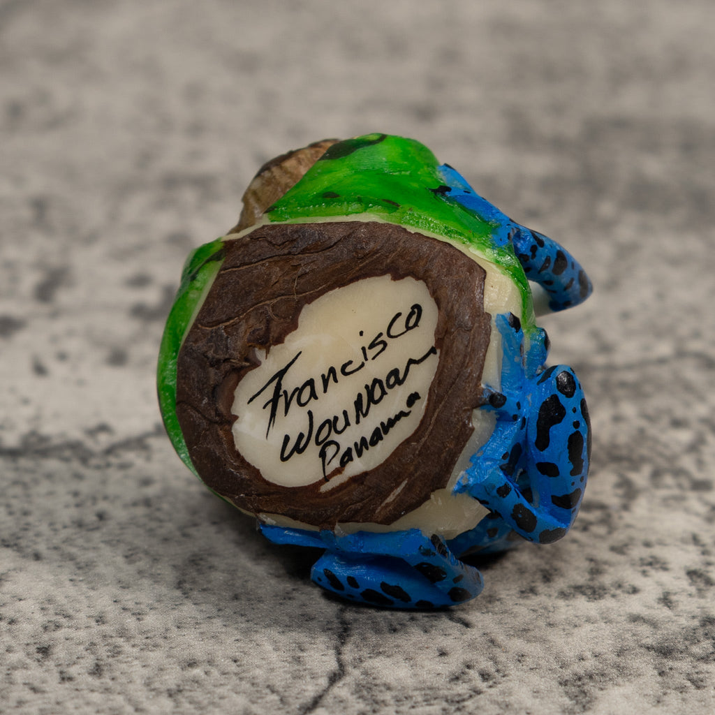 Orange Blue And Black Poison Dart Frog Tagua Carving