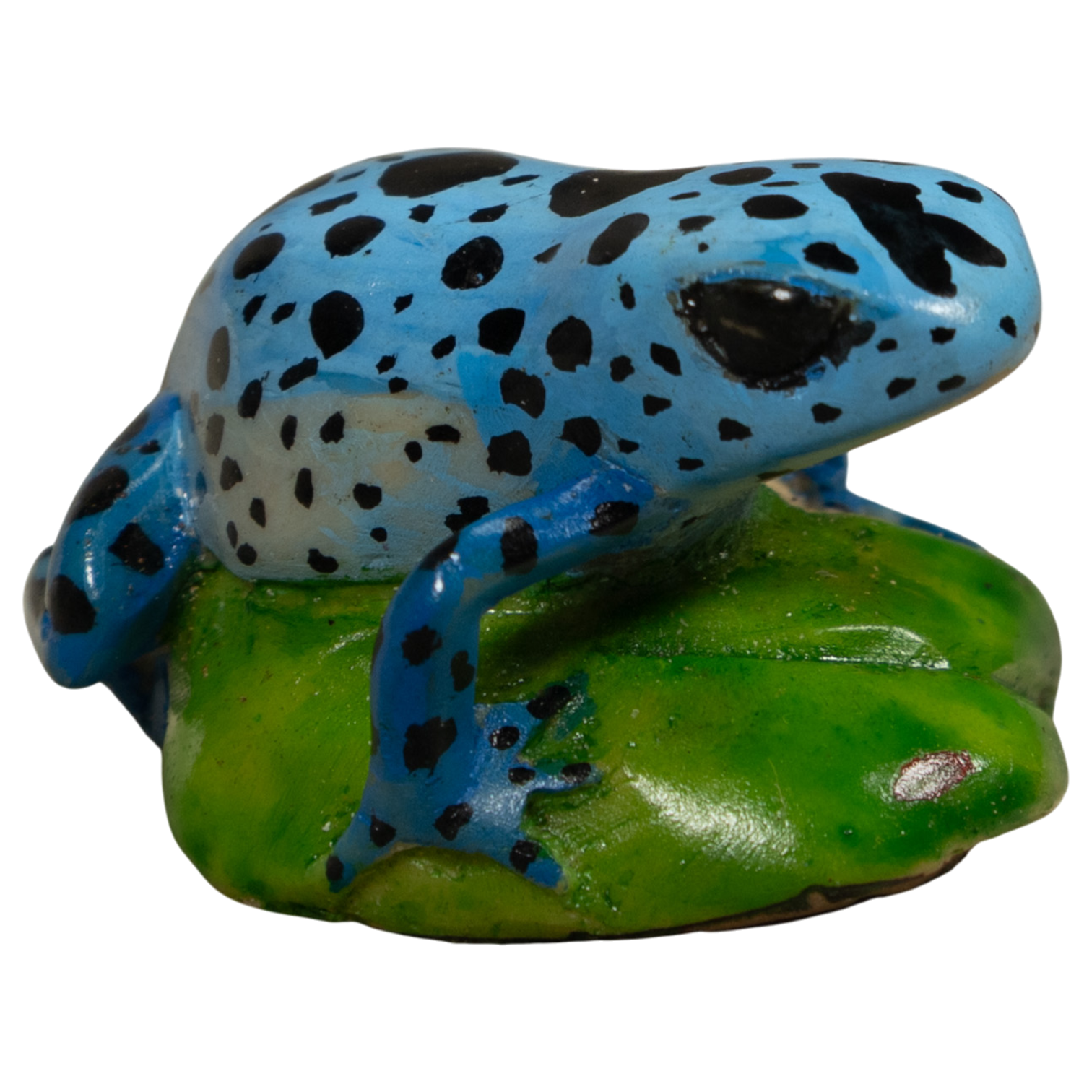 Poison Dart Blue Frog Tagua Carving