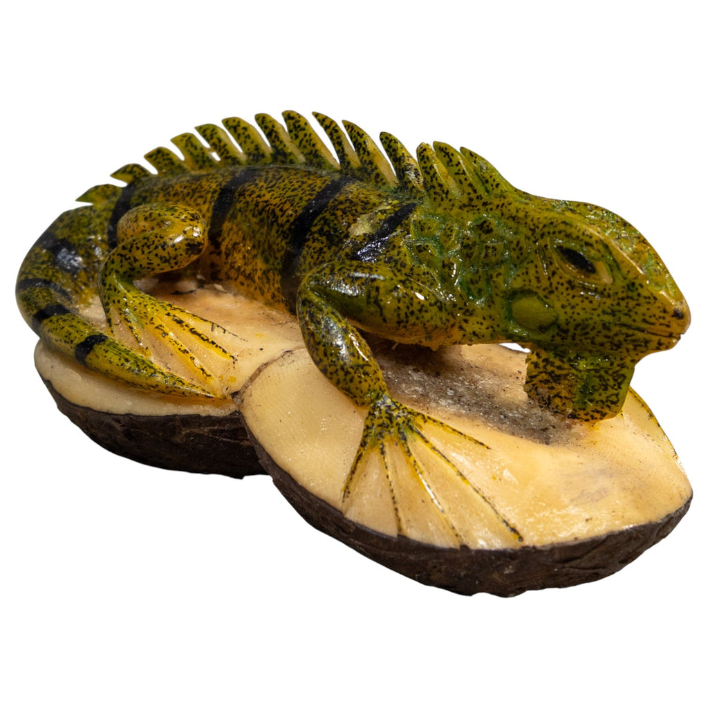Double Nut Iguana Lizard Tagua Carving