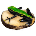 Black And Green Poison Dart Frog Tagua Carving