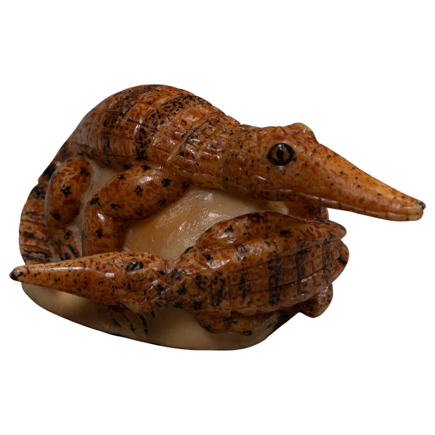 Double Alligator Crocodile Tagua Carving