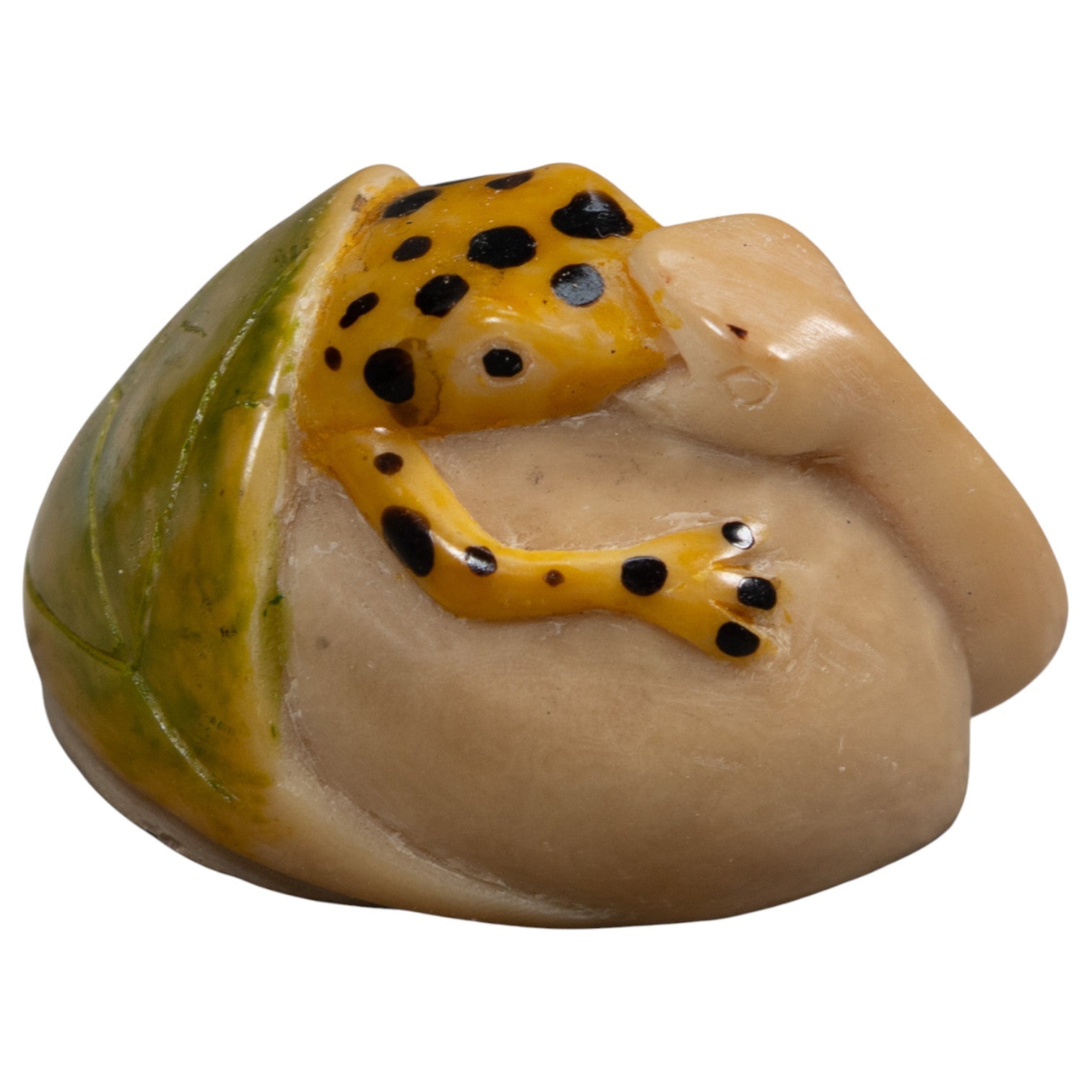 Vintage Snake Eating Gold Frog Tagua Carving