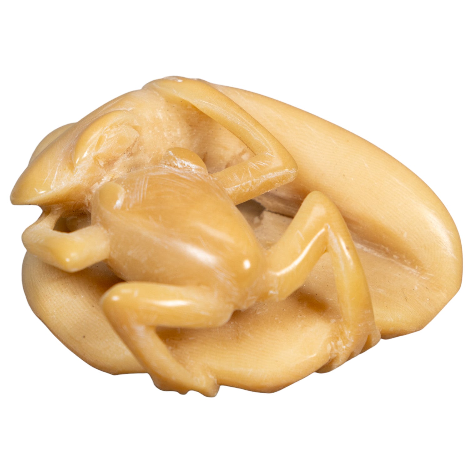 Vintage Natural White Snake Eating Frog Tagua Carving