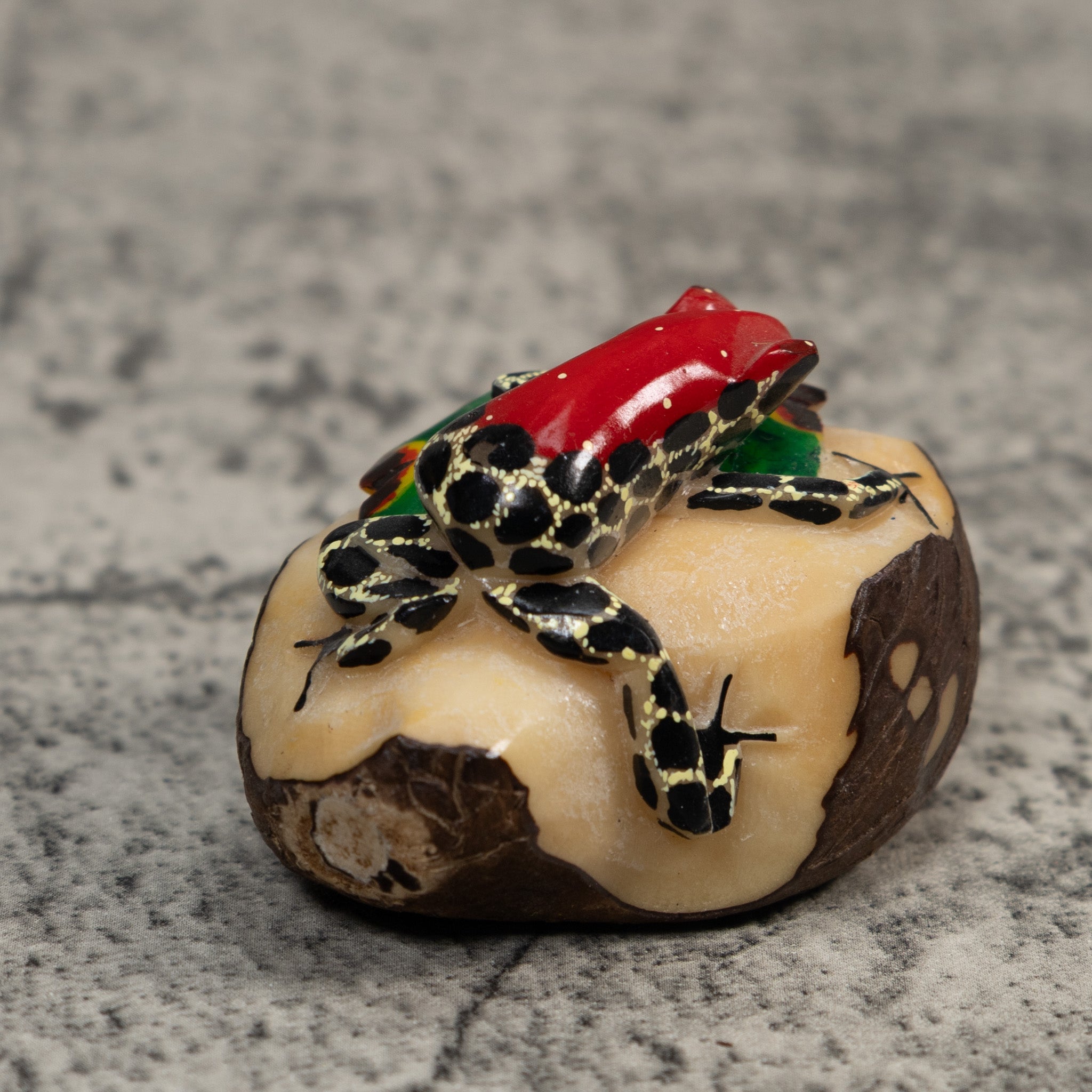 Red Black And Yellow Poison Dart Frog Tagua Carving