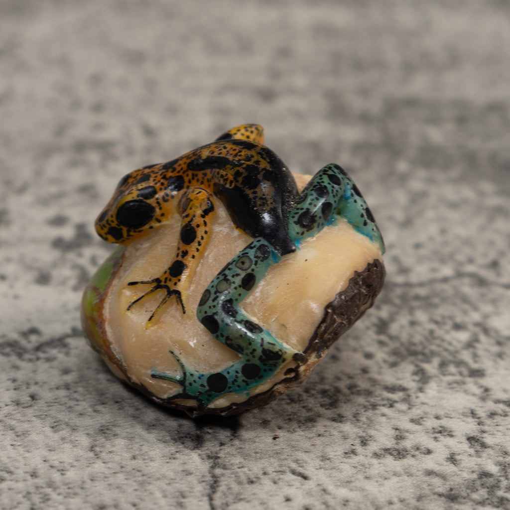 Vintage Blue Gold And Black Poison Dart Frog Tagua Carving