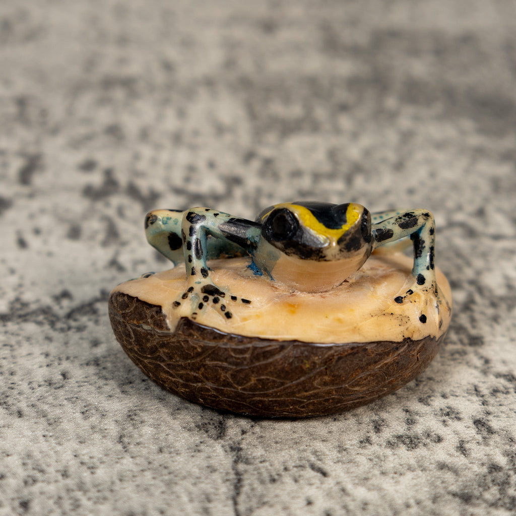 Vintage Gold Black And Blue Poison Dart Frog Tagua Carving