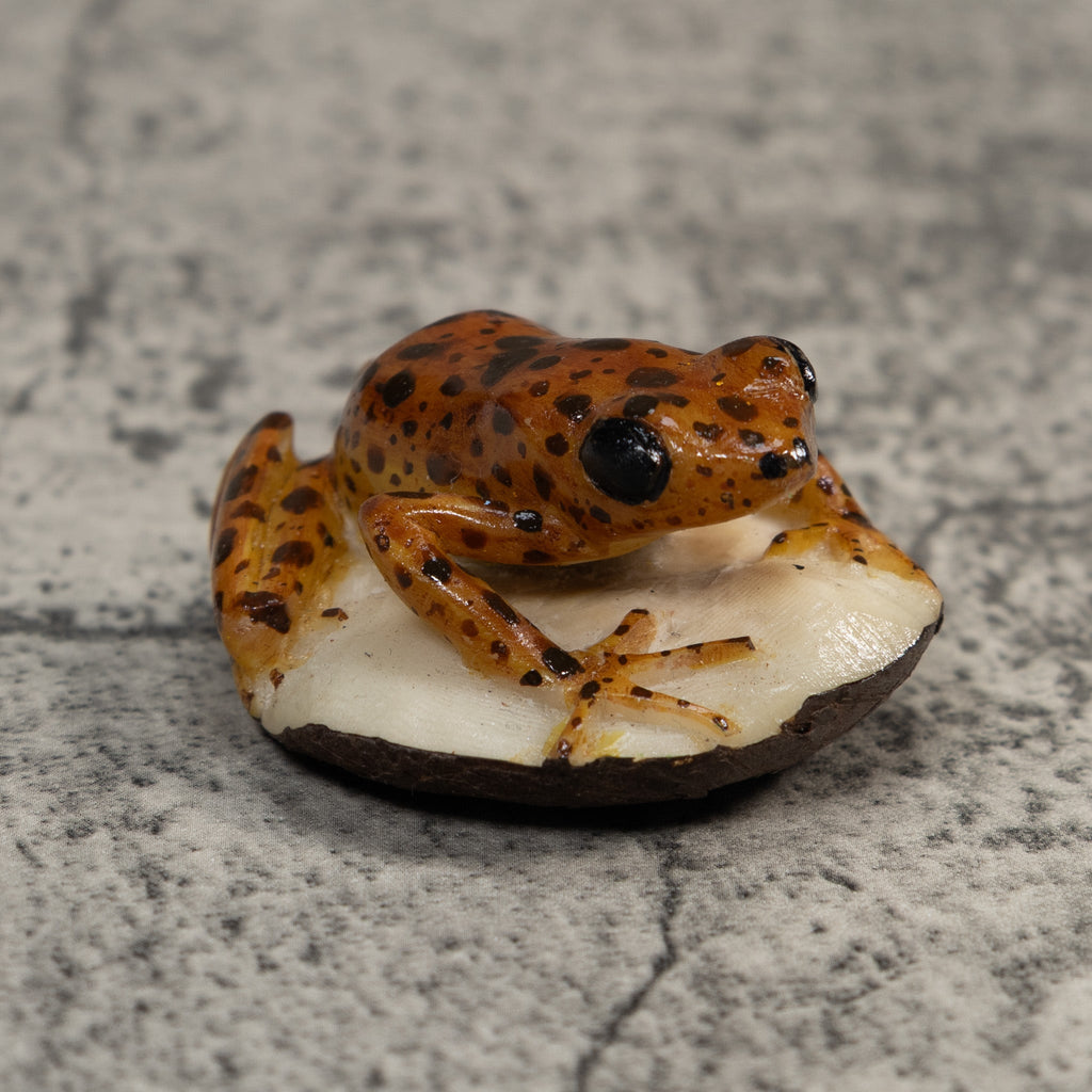 Brown And Black Jungle Frog Tagua Carving