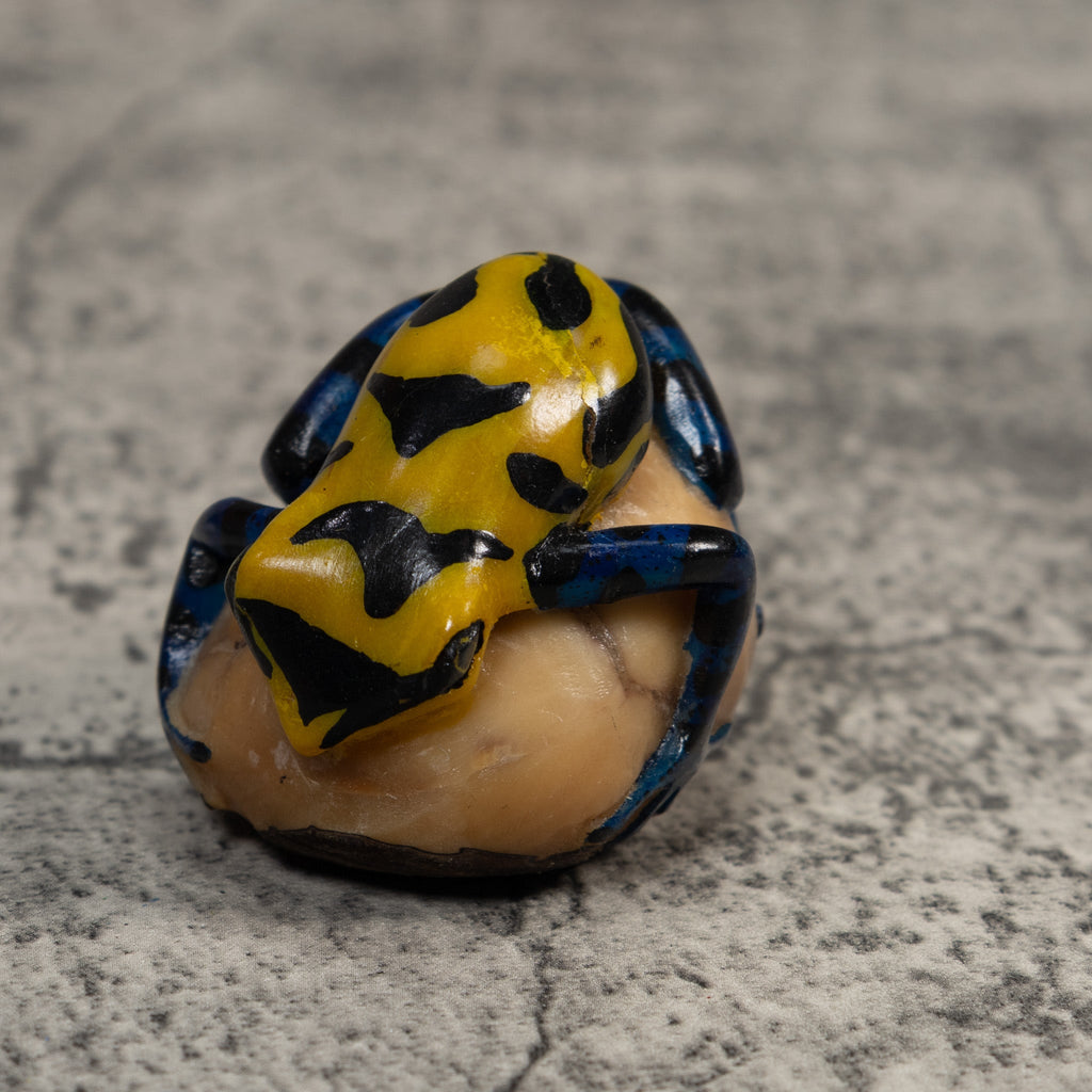 Yellow And Black Poison Dart Frog Tagua Carving