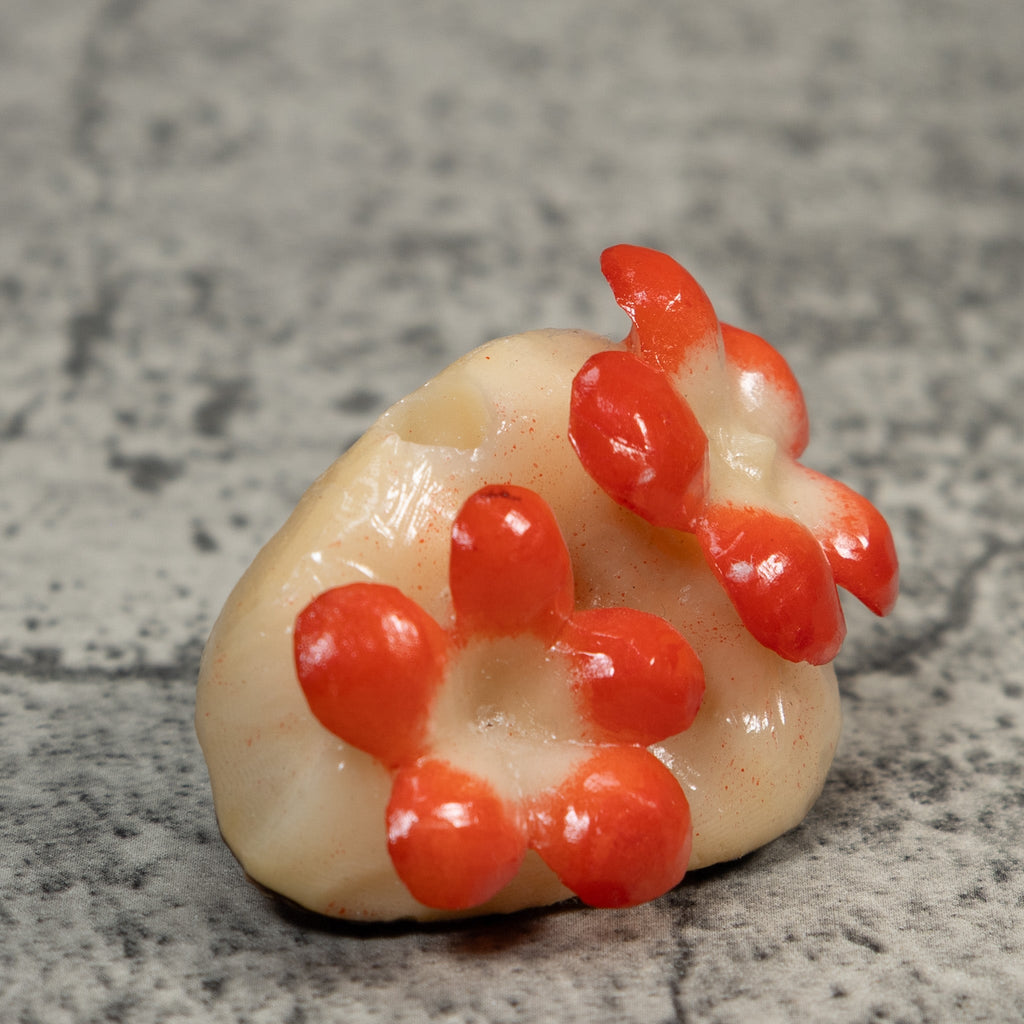 Double Orange Flower Petals Tagua Carving