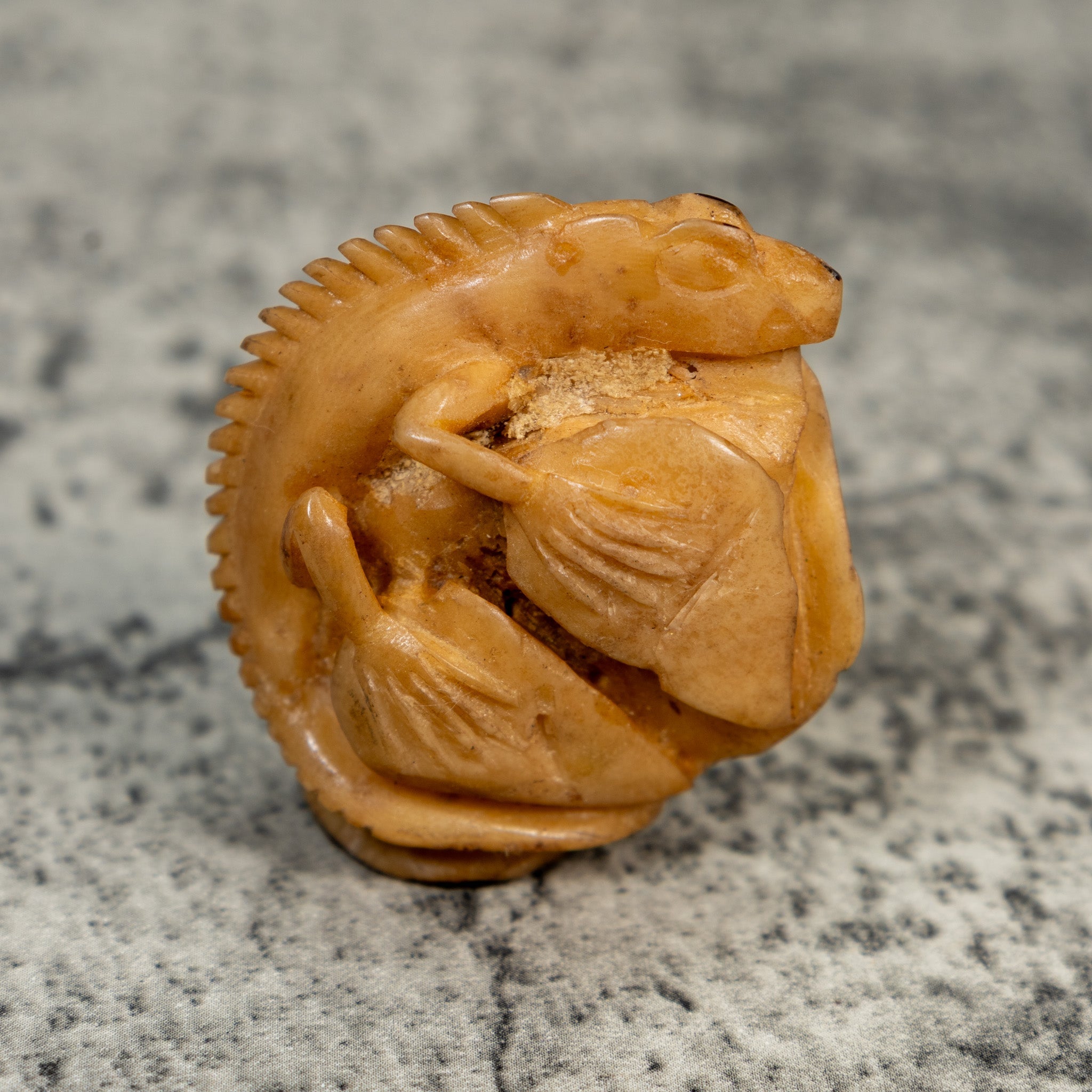 Vintage Natural White Dyed Iguana Lizard Tagua Carving