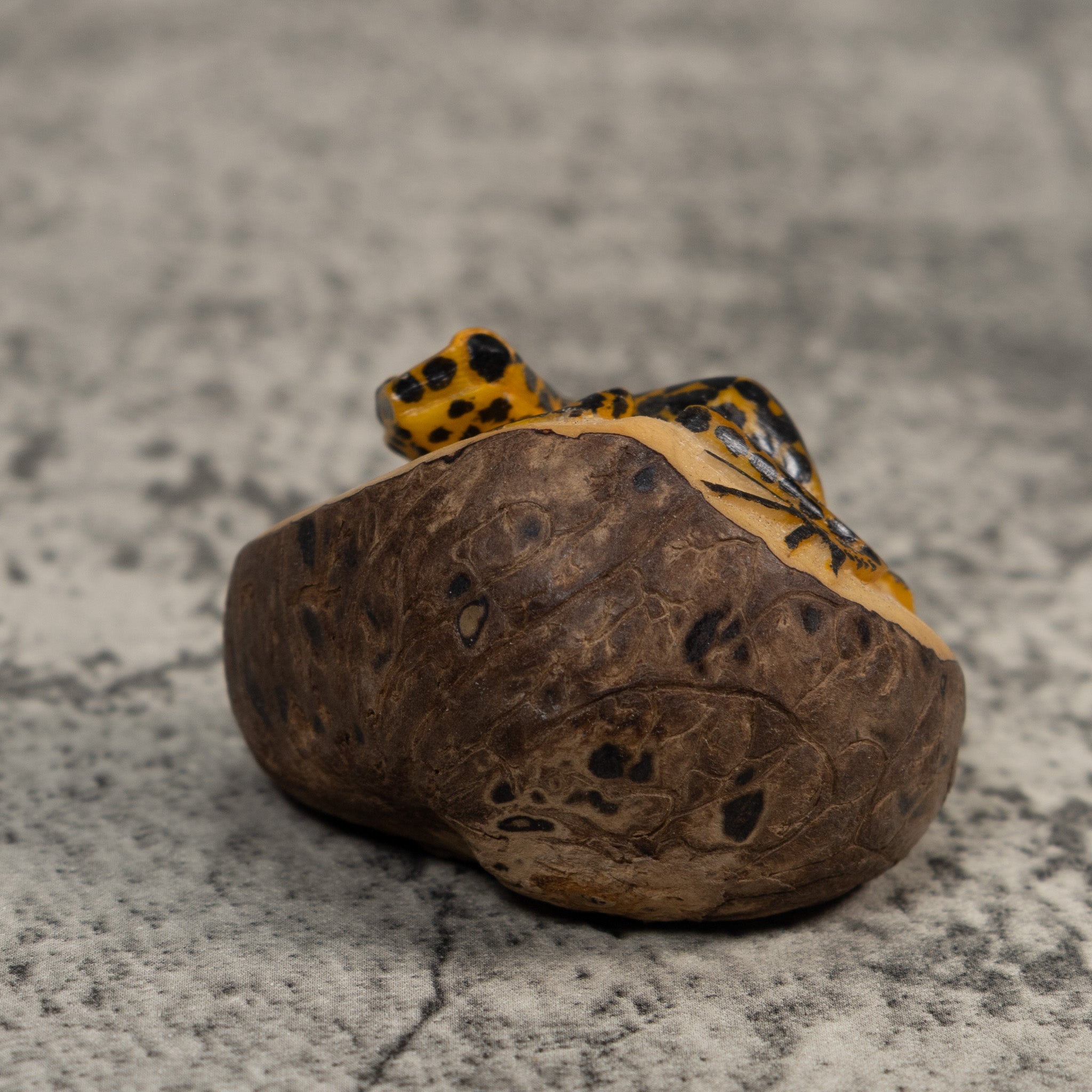 Black And Gold Poison Dart Frog Tagua Carving