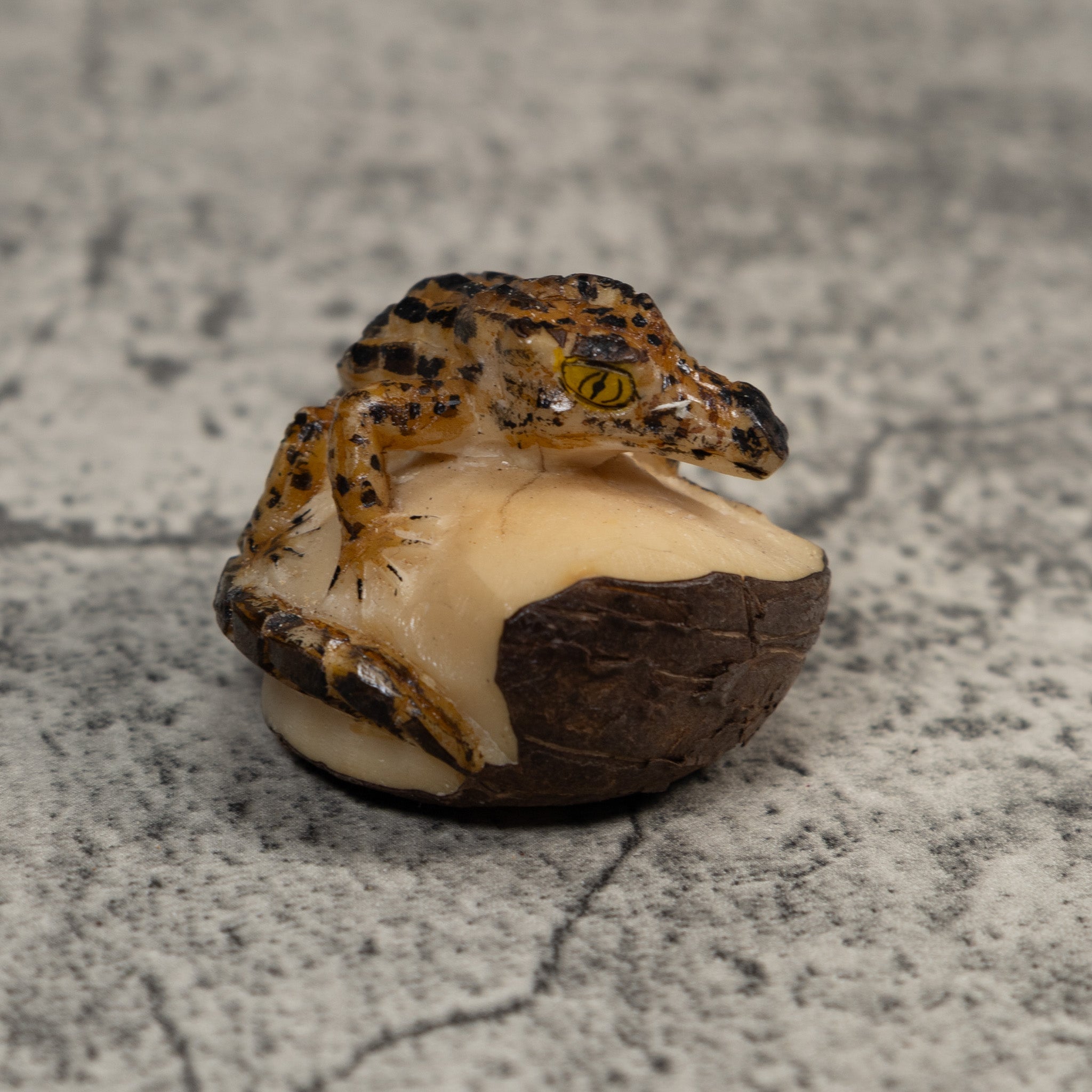 Brown And Black Alligator Crocodile Tagua Carving