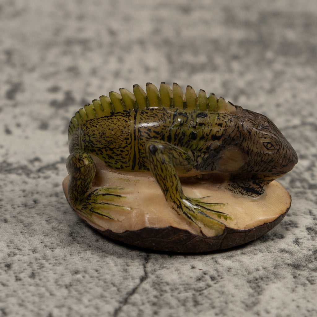 Iguana Lizard Reptile Tagua Carving