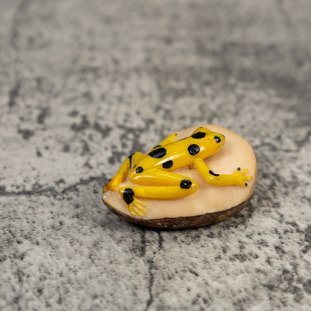 Golden Frog Tagua Carving