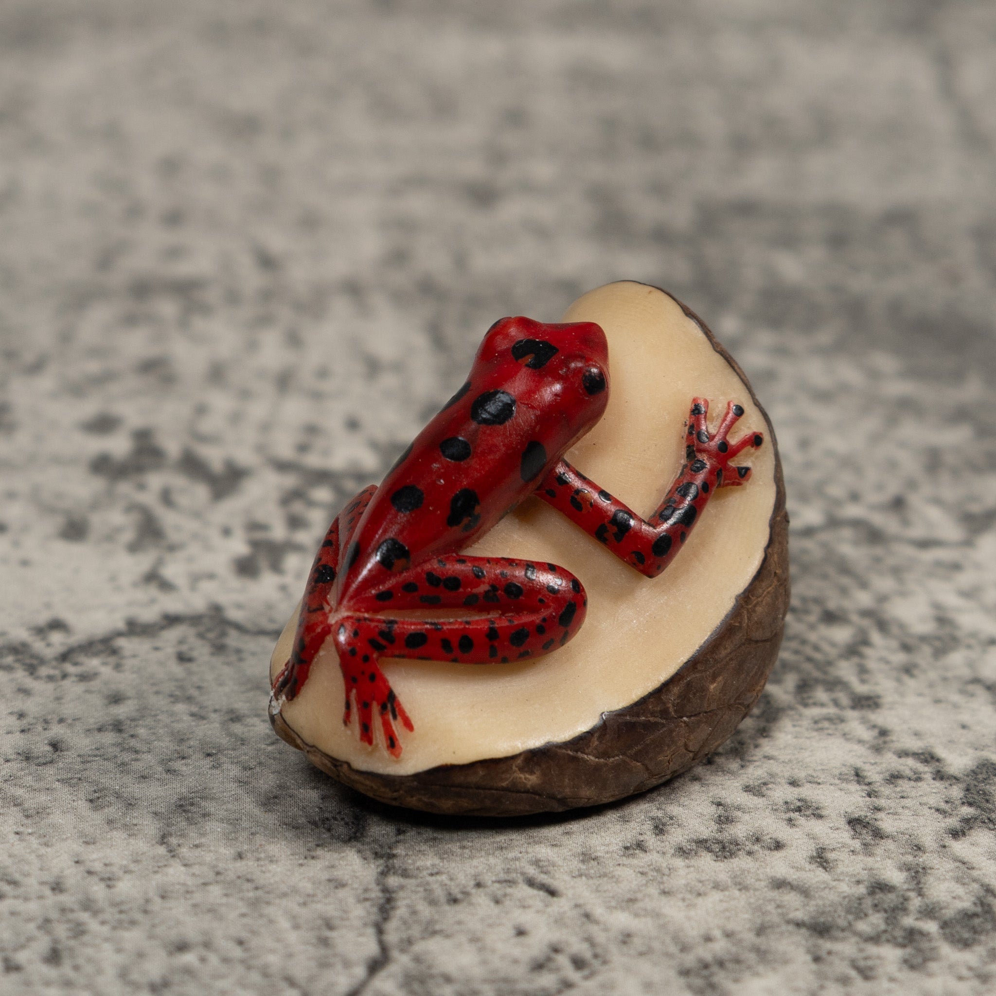 Red And Black Poison Dart Frog Tagua Carving