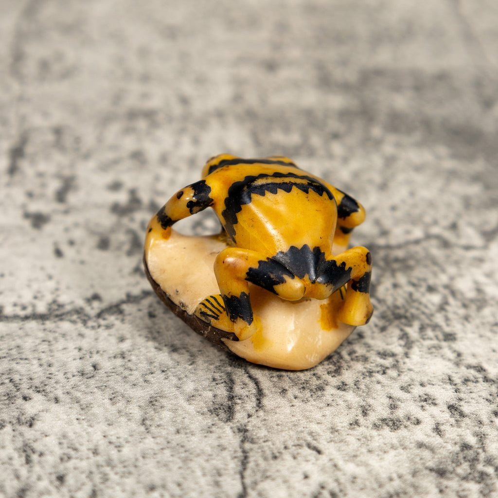 Vintage Black And Gold Poison Dart Frog Tagua Carving