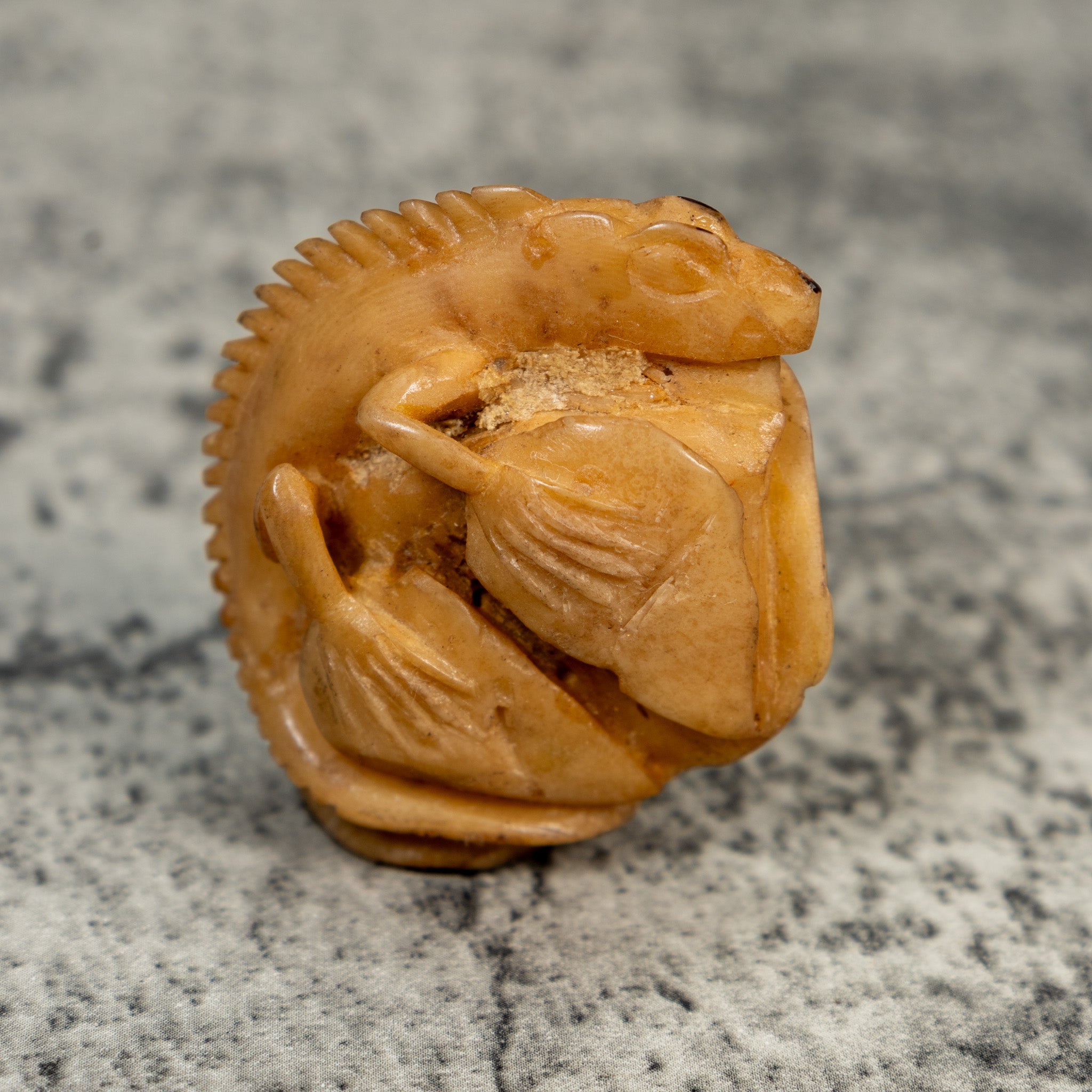 Vintage Natural White Dyed Iguana Lizard Tagua Carving