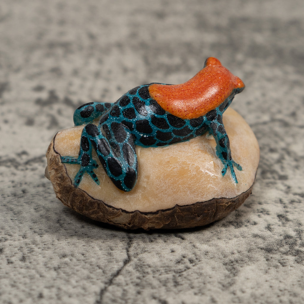 Blue And Orange Poison Dart Frog Tagua Carving
