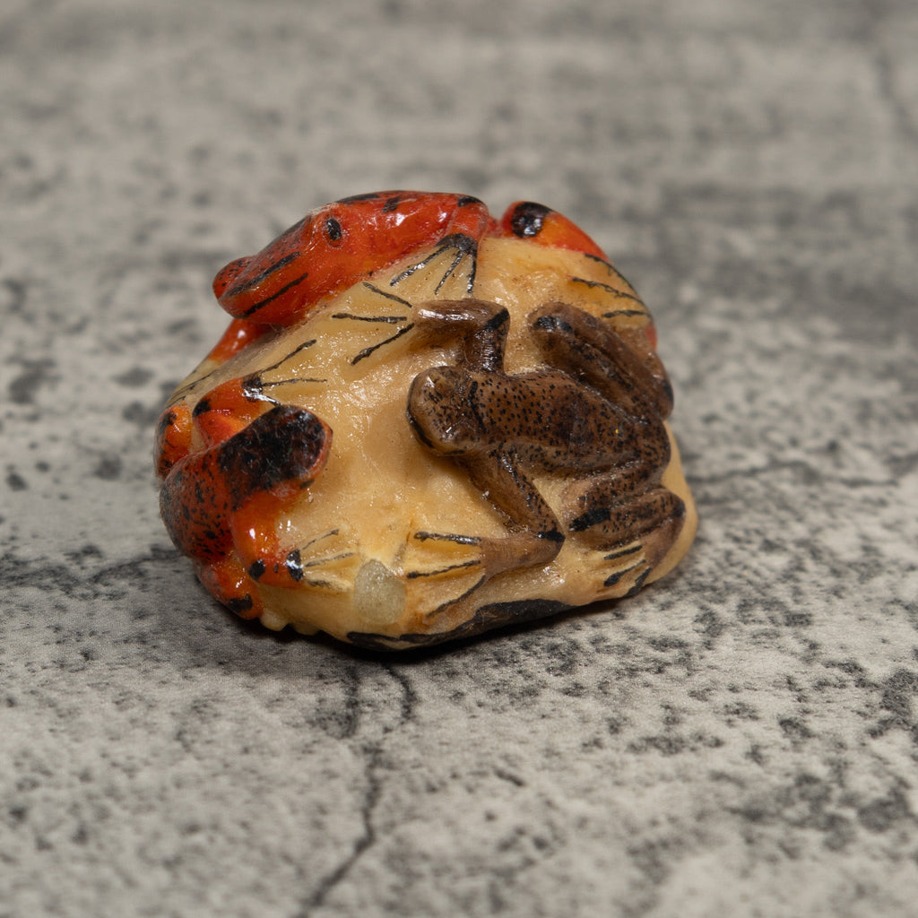 Double Red And Black Poison Dart Frog Tagua Carving