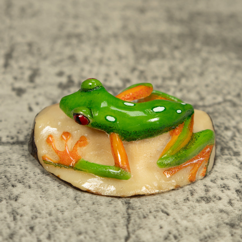 Red-Eye Tree Frog Tagua Carving