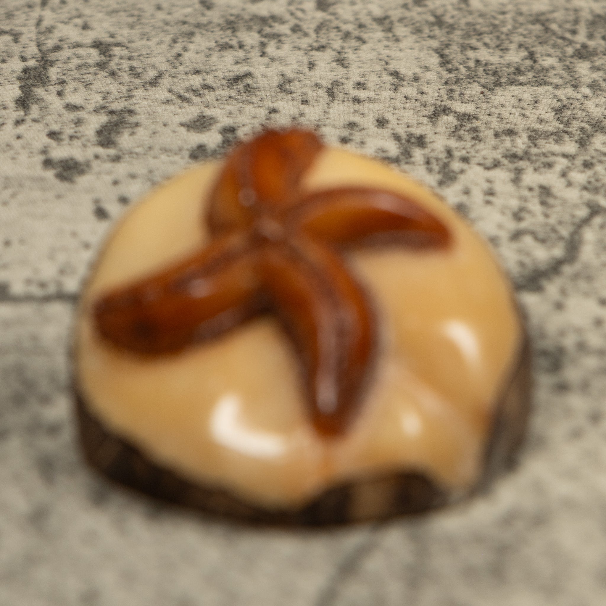Starfish Tagua Carving
