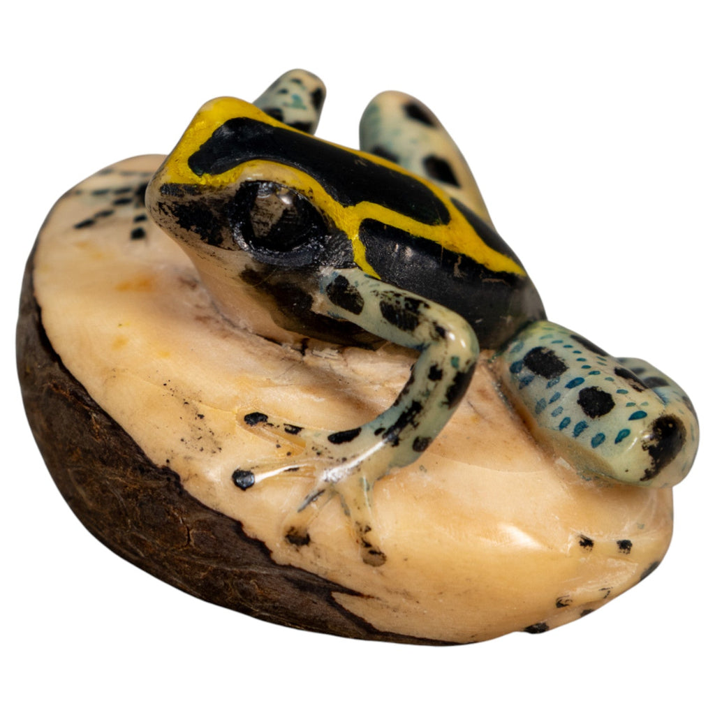 Vintage Gold Black And Blue Poison Dart Frog Tagua Carving