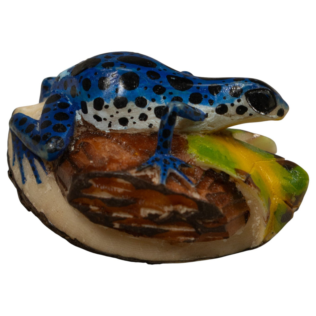 Blue Poison Dart Frog Tagua Carving