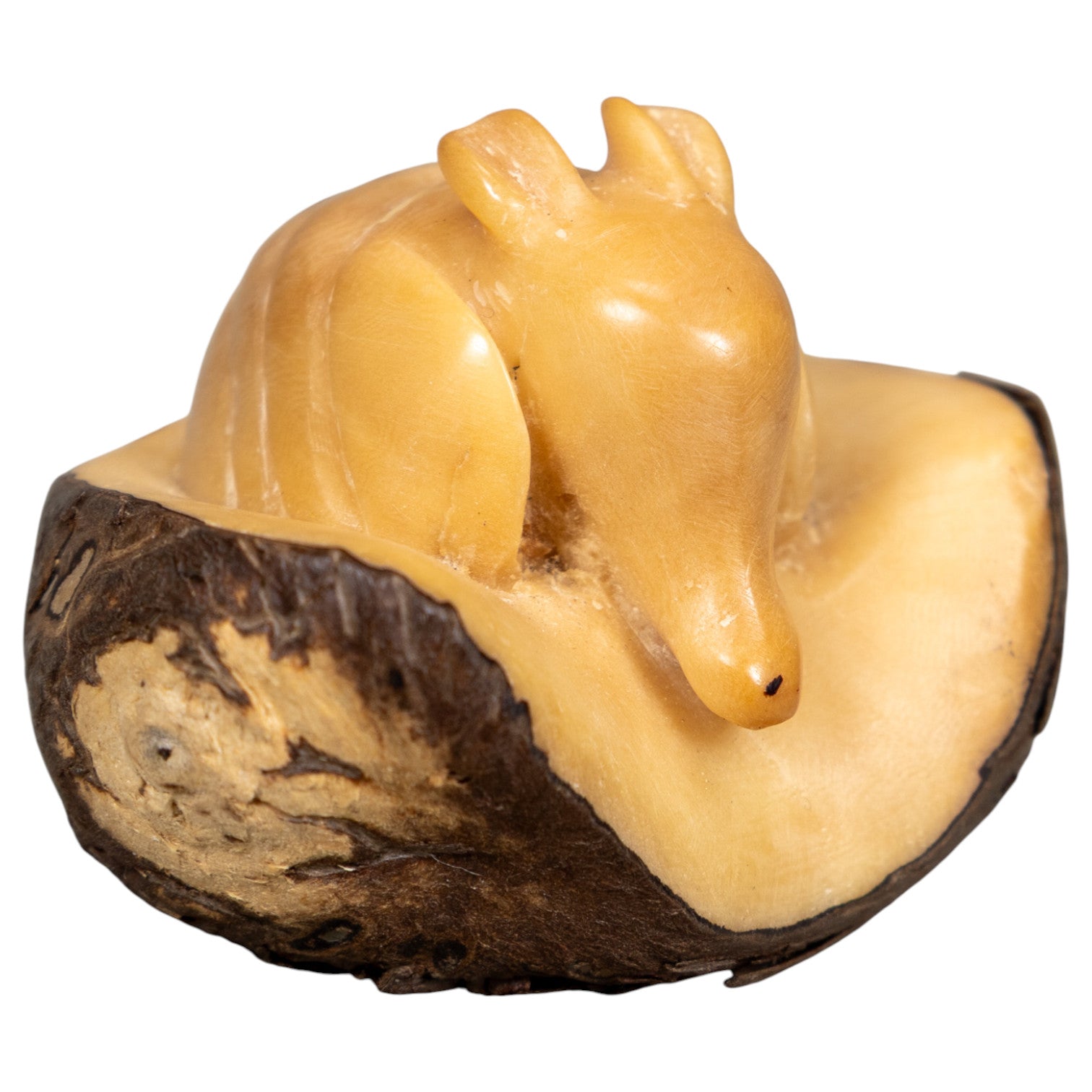 Natural White Armadillo Tagua Carving
