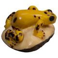Vintage Black And Gold Poison Dart Frog Tagua Carving