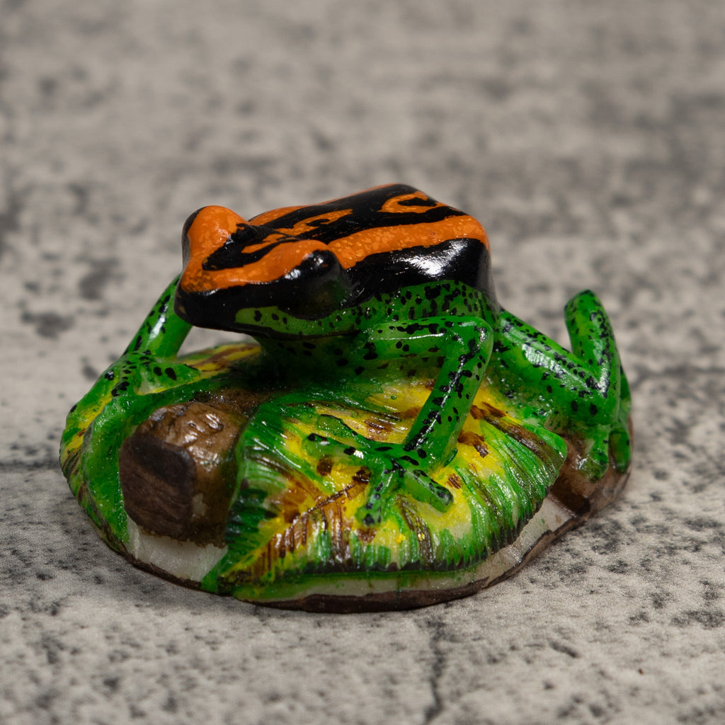 Orange Green And Black Poison Dart Frog Tagua Carving