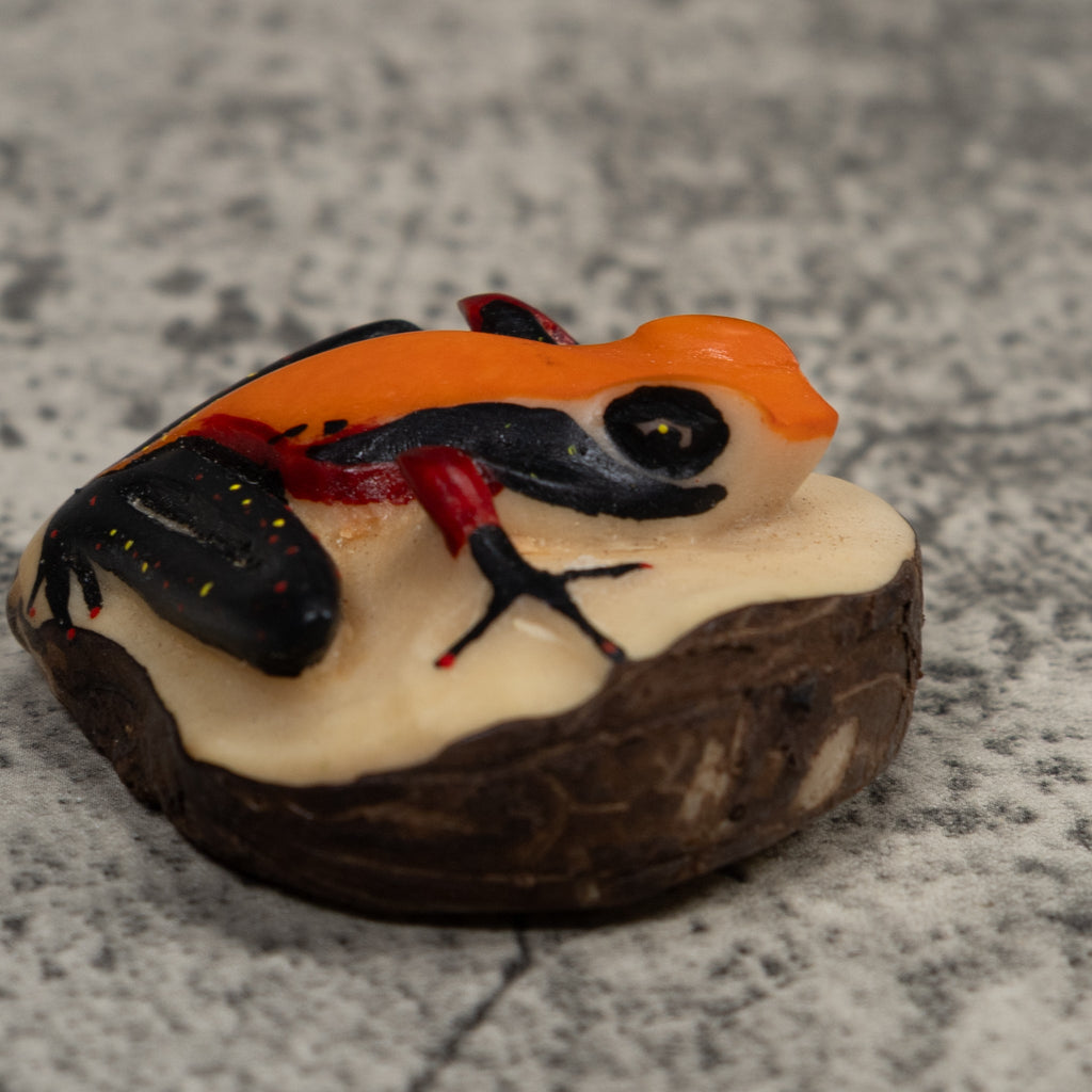 Vintage Orange And Black Frog Tagua Carving