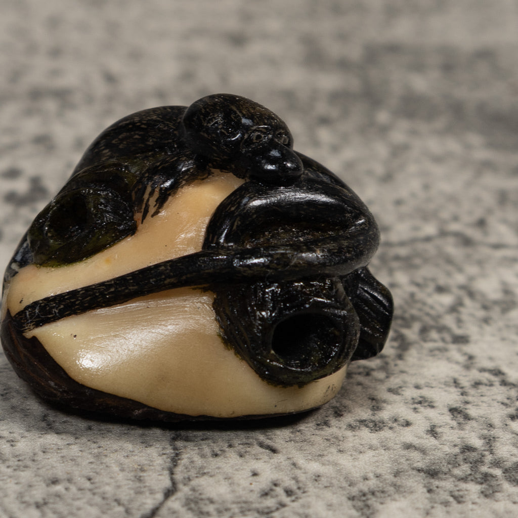 Black Howler Monkey Tagua Carving