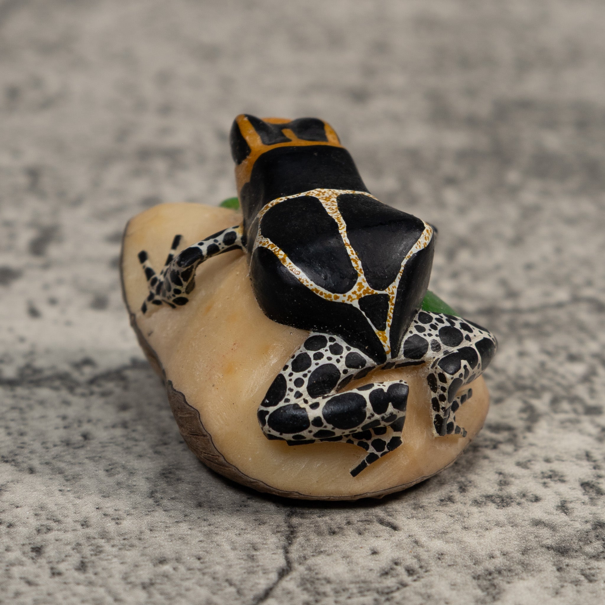 White Orange And Black Poison Dart Frog Tagua Carving