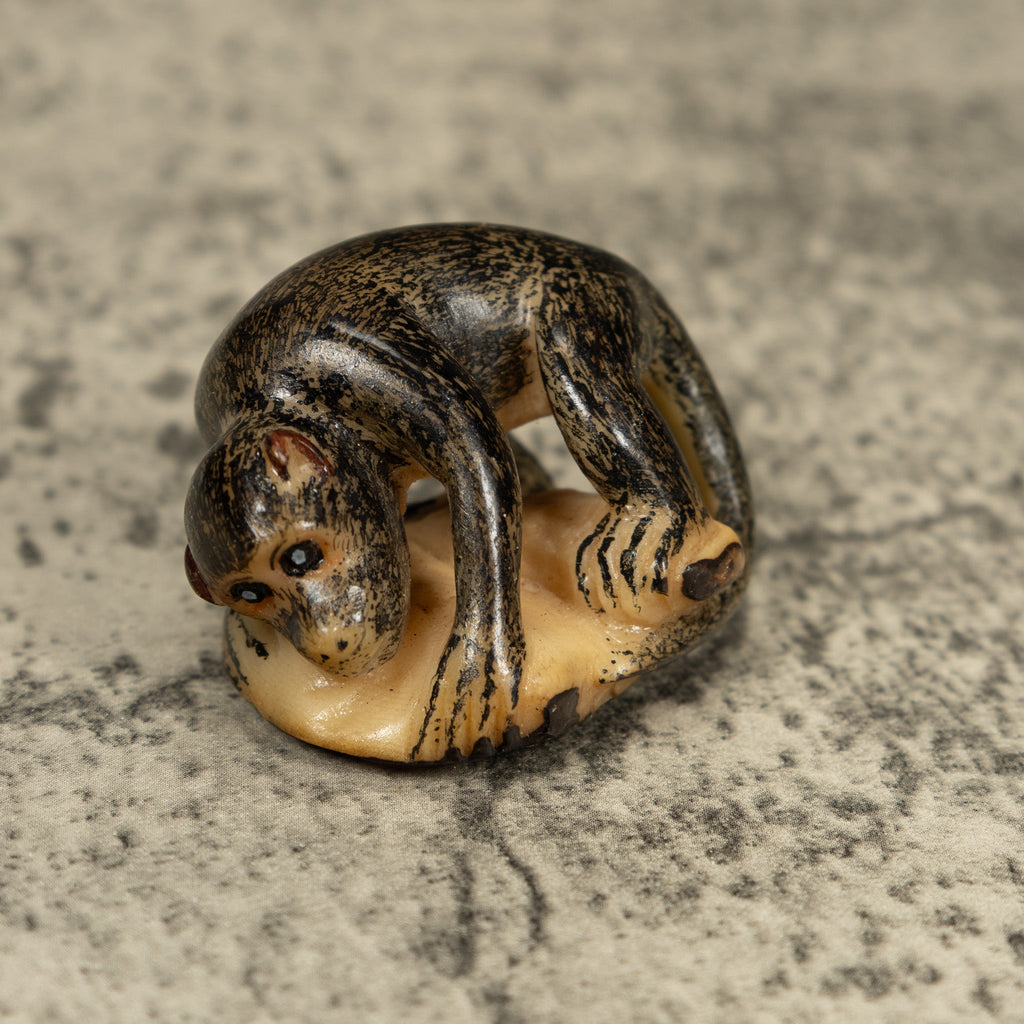 Vintage Howler Monkey Tagua Carving