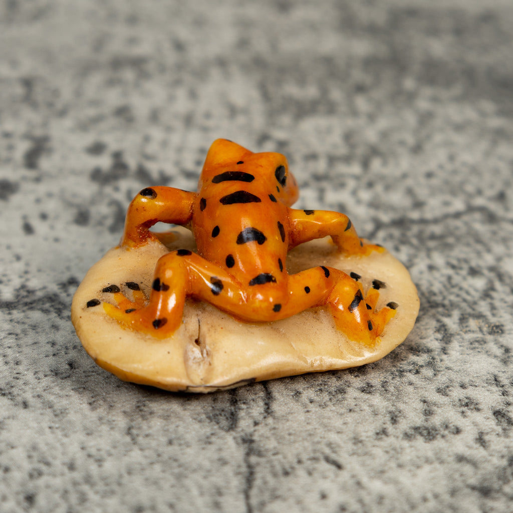 Vintage Orange And Black Frog Tagua Carving