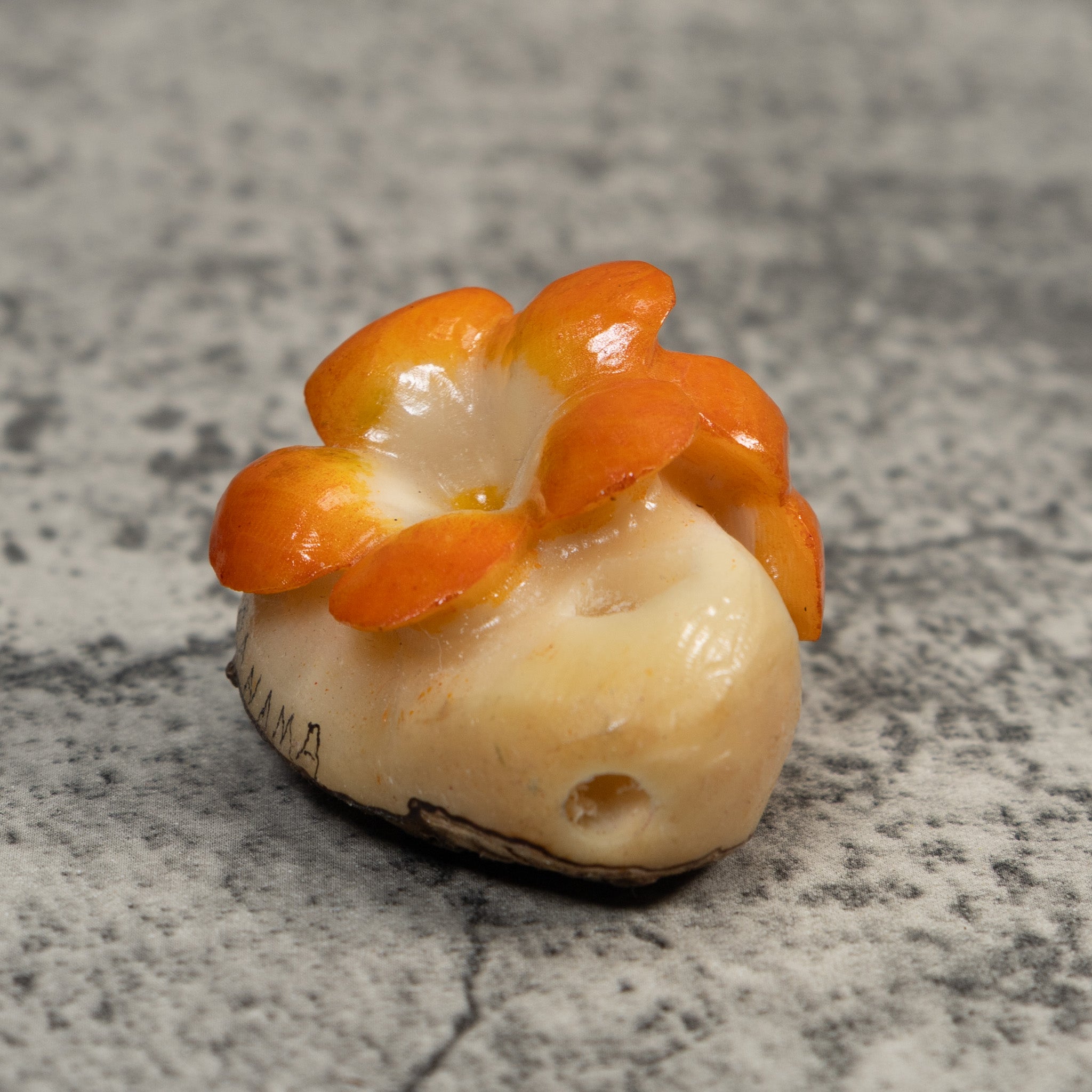 Double Golden Flower Petals Tagua Carving