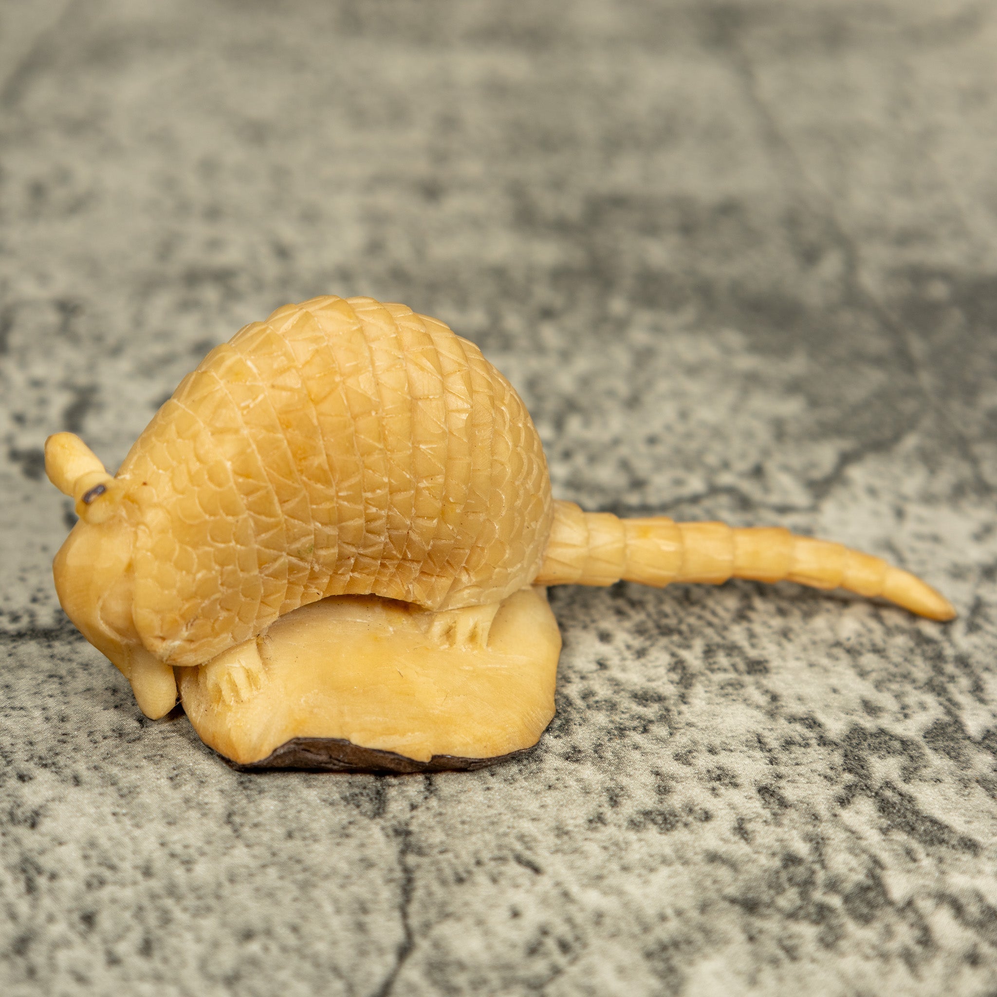 Natural White Armadillo Tagua Carving