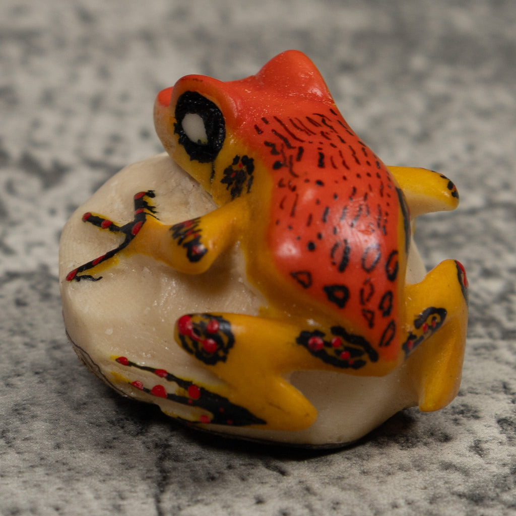 Vintage Orange And Black Frog Tagua Carving