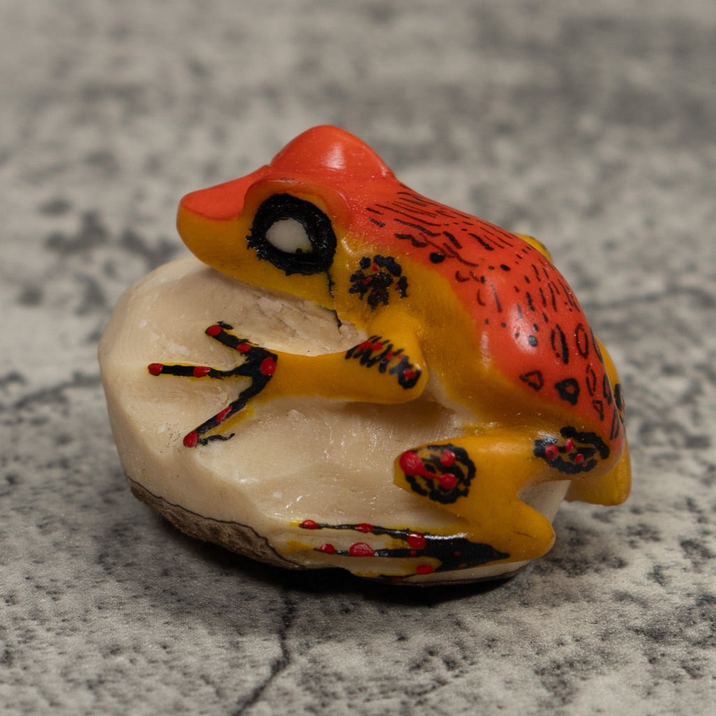 Vintage Orange And Black Frog Tagua Carving