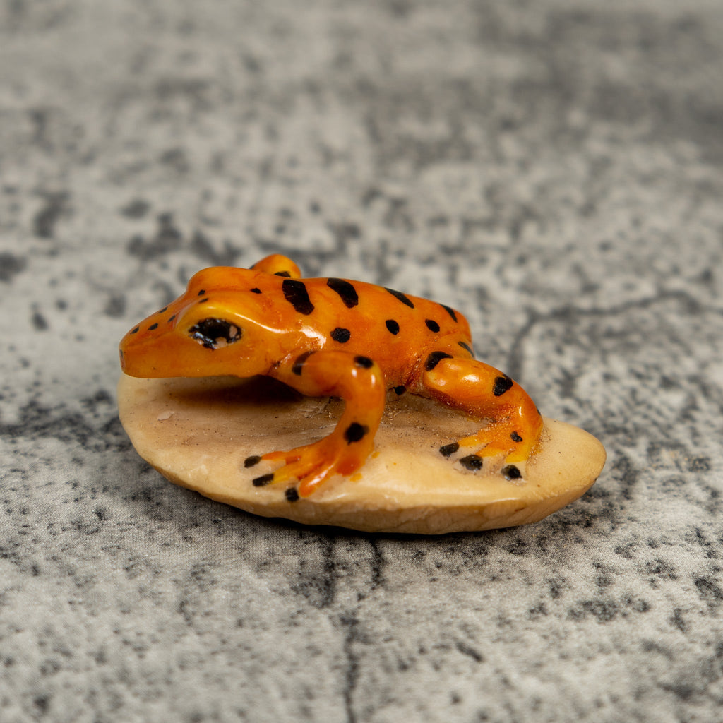 Vintage Orange And Black Frog Tagua Carving
