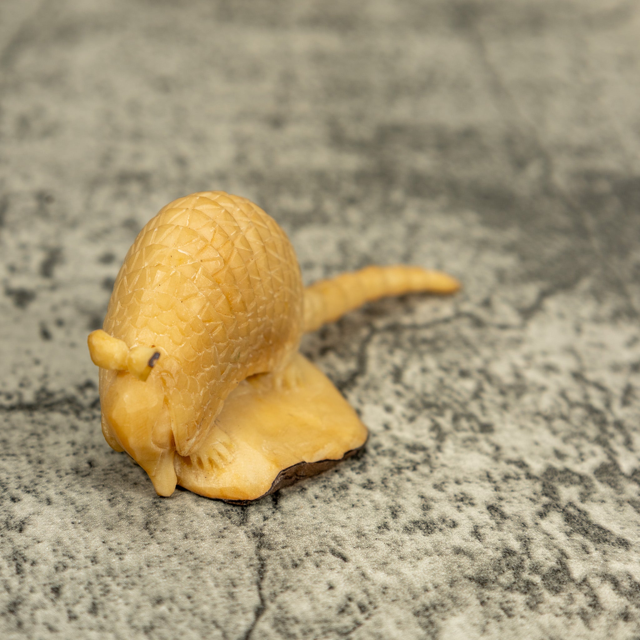 Natural White Armadillo Tagua Carving