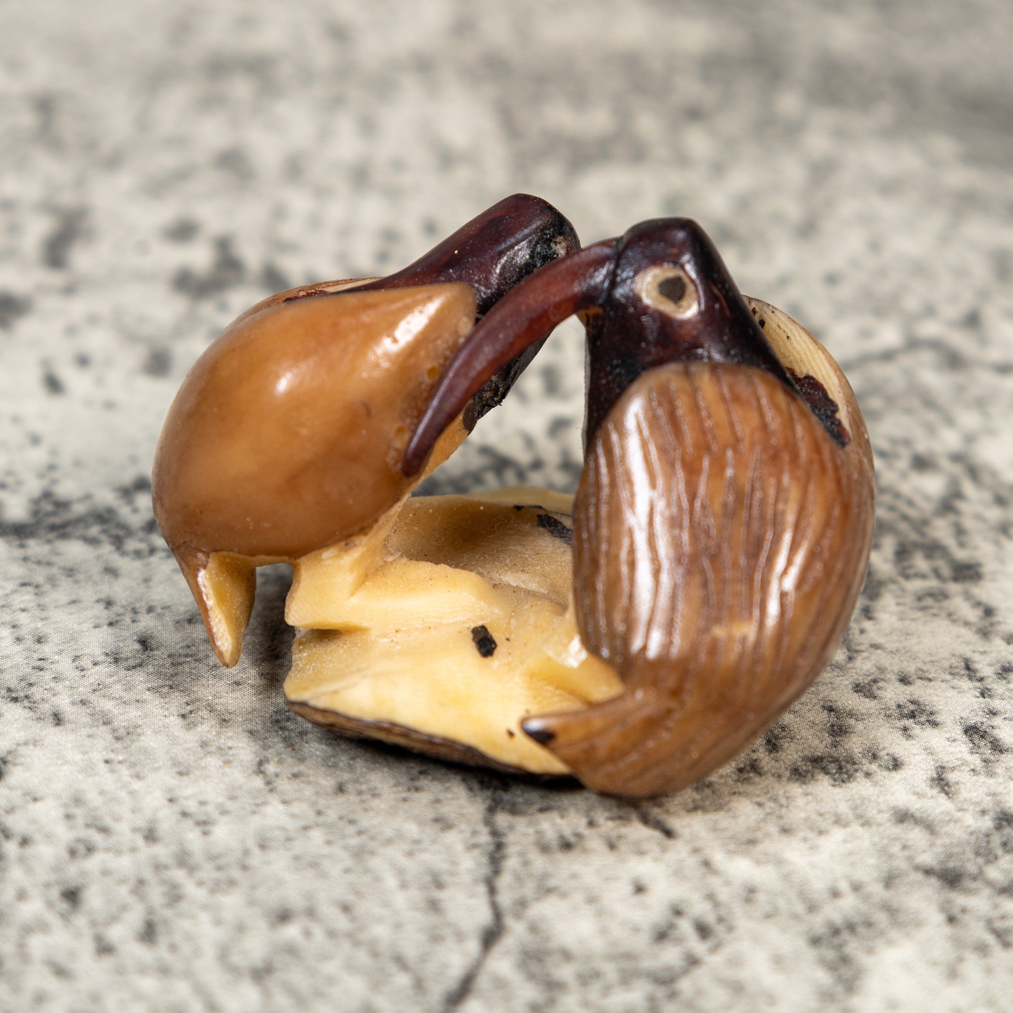 Brown And Black Two Bird Tagua Carving
