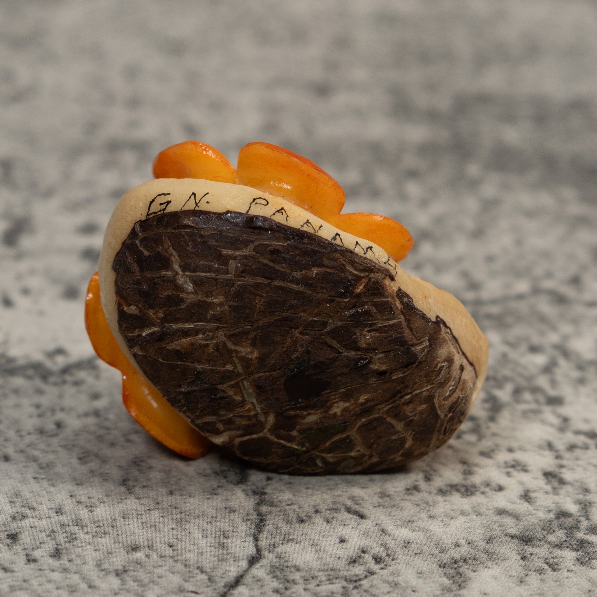 Double Golden Flower Petals Tagua Carving