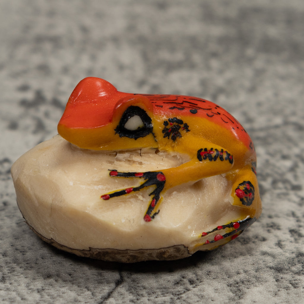 Vintage Orange And Black Frog Tagua Carving