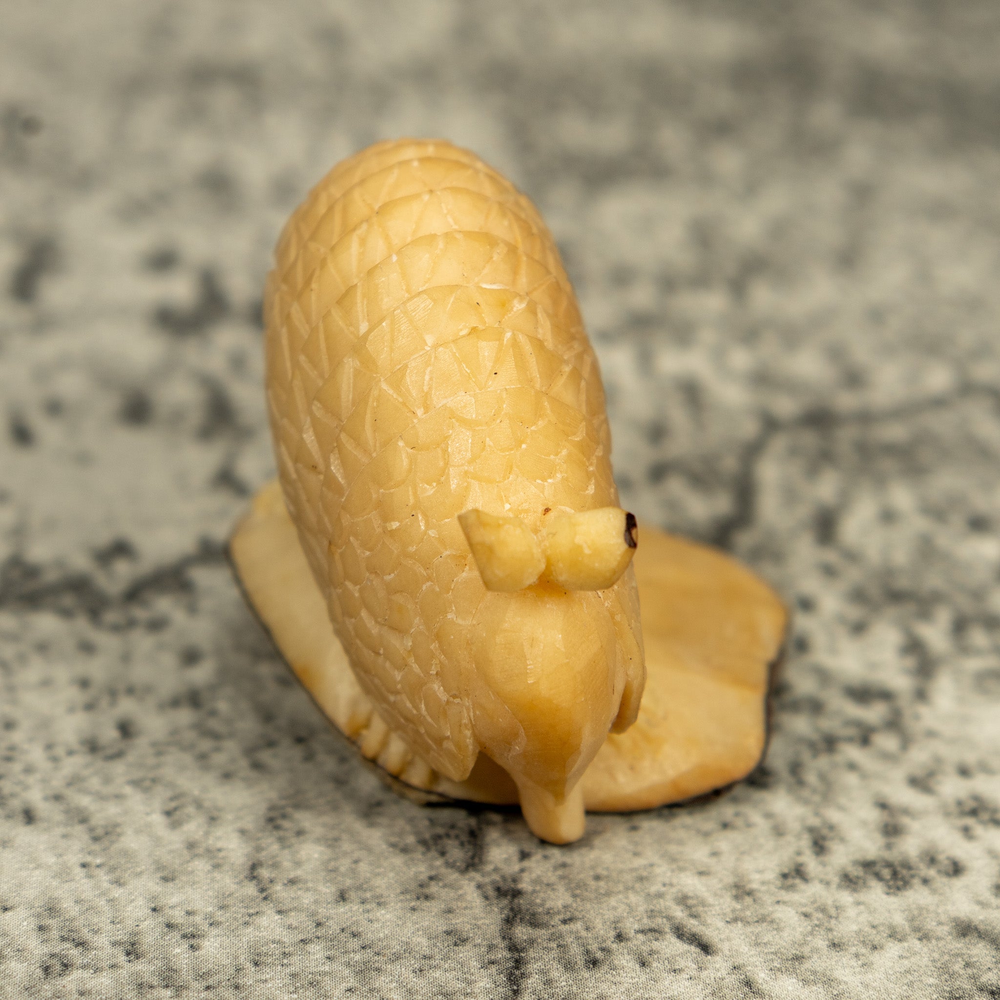 Natural White Armadillo Tagua Carving