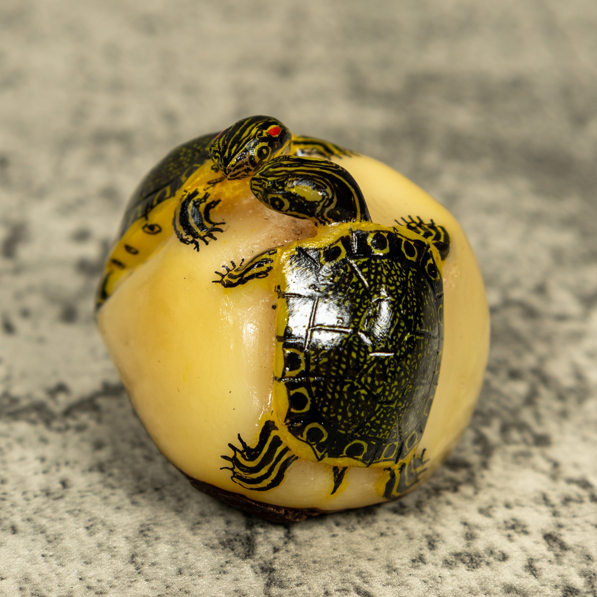 Double (2) Tortoise Turtle Tagua Carving