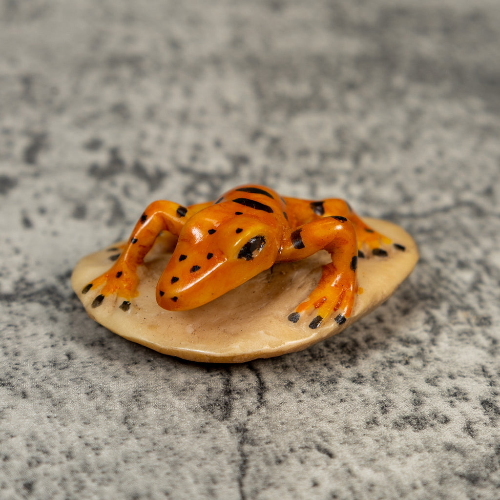 Vintage Orange And Black Frog Tagua Carving